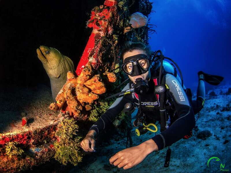 Scuba Dive in Playa del Carmen - 2 Dives (Certified divers) - The “Too Close to Shore?” Concern and How to Decide