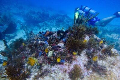 Scuba Diver Certification Course - Day 2 Part 1: Confined-water skills (where confidence gets built)