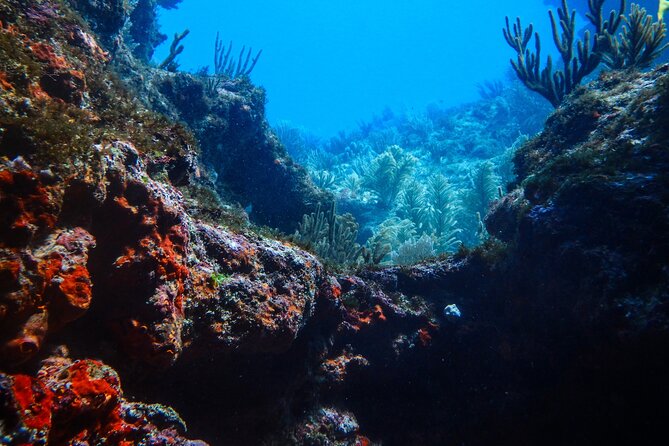 Scuba Diver Certification Course - Gear, safety, and the one issue you should think about