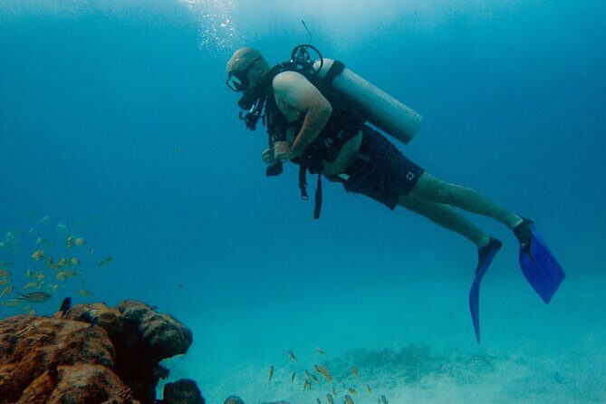 Scuba Diving (1st time) in Cancun Beginner's WELCOMED! - First-Time Scuba in Cancun: What You’re Really Signing Up For