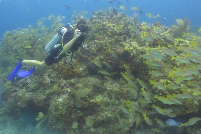 Scuba Diving (1st time) in Cancun Beginner's WELCOMED! - Guides Make or Break It: When Lars, Charles, and Santiago Show Up