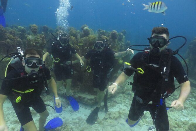 Scuba Diving (1st time) in Cancun Beginner's WELCOMED! - What to Do on the Day: Skills, Safety Checks, and Ear Equalizing