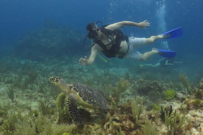 Scuba Diving (1st time) in Cancun Beginner's WELCOMED! - Small Practical Tips That Help Your Experience Go Smoothly