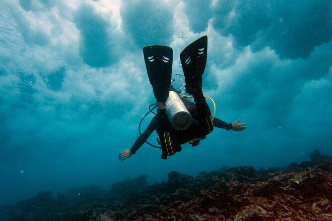 Scuba Diving (1st time) in Cancun Beginner's WELCOMED! - A 10:00 AM Start and Two Sessions: How the 5.5 Hours Usually Plays Out