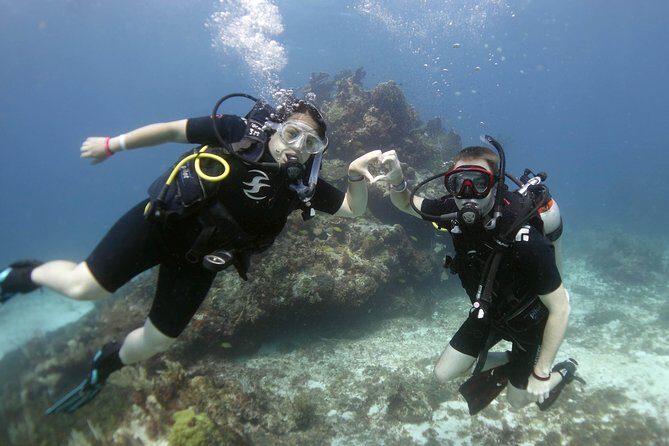 Scuba diving at MUSA the underwater museum for certified divers - Price and value: what $135 covers (and what it doesn’t)