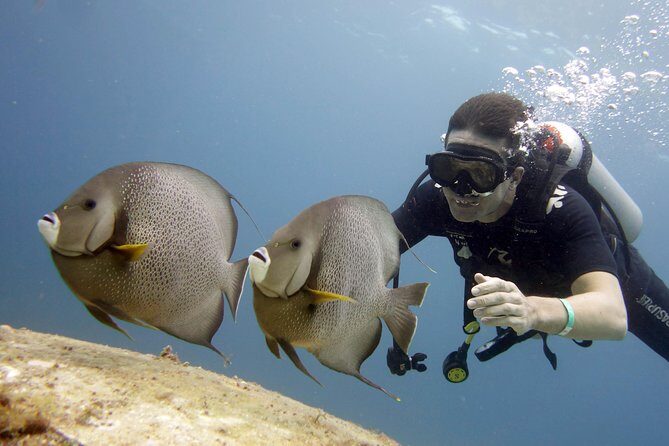 Scuba diving at MUSA the underwater museum for certified divers - Between-tank snacks: keep your energy up