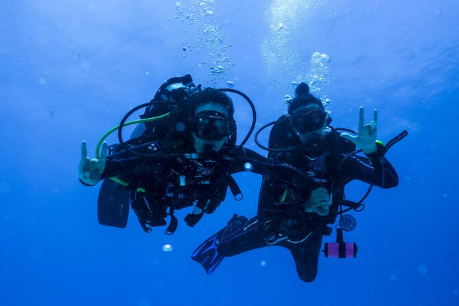 Scuba Diving for Beginners – Tulum Dive Machine - Your second underwater session at Cuevitas Reef: coral life and the big payoff