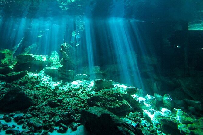 Scuba Diving in Cenote Dos Ojos from Playa del Carmen - Gear Checks and a Real Safety Briefing at the Site