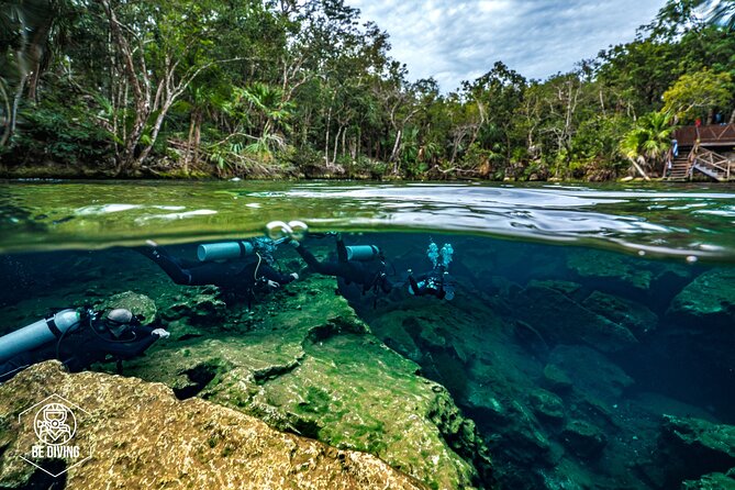 Scuba Diving in Cenotes - Cenotes near Playa del Carmen: why this feels special