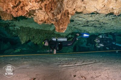 Scuba Diving in Cenotes - The day’s flow: check-in, drive to cenotes, then two underwater sessions