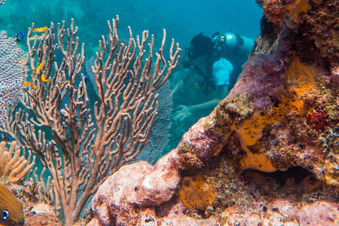 Scuba Diving in Cozumel Island - The 45-minute boat ride: instructions while you watch the coast