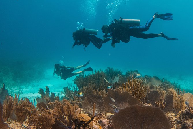 Scuba Diving in Cozumel Island - What the underwater sessions look like (and why the group size matters)