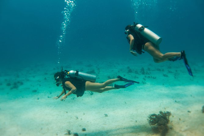 Scuba Diving in Cozumel Island - The surface interval: at least one hour of snacks and reset time