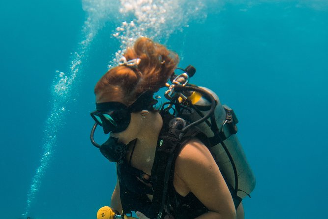 Scuba Diving in Cozumel Island - Returning around 3:30 PM, then using the open ferry ticket