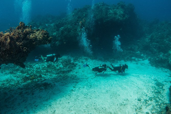 Scuba Diving in Cozumel Island - Price and value: what $220 covers, and what it won’t
