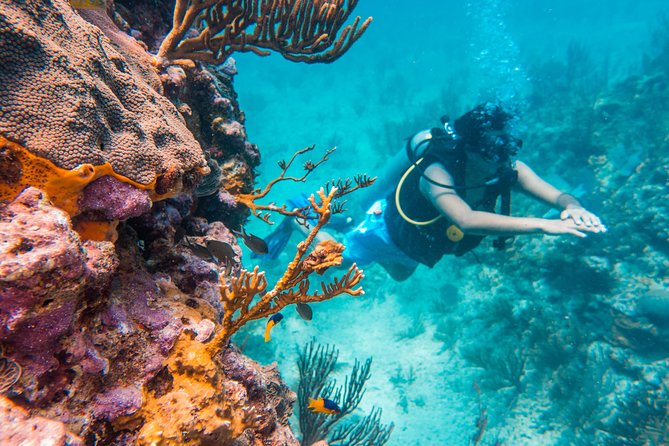 Scuba Diving in Cozumel Island - Meeting at BeDiving Cozumel and getting gear sized right