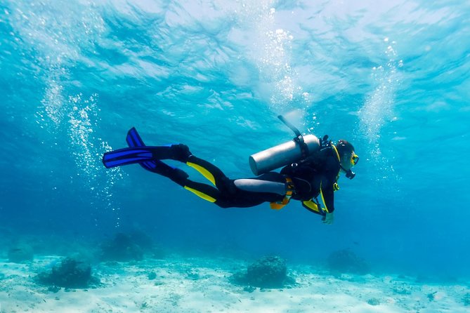 Scuba Referral Dives & Beach Club with Transportation In Riviera Maya - Maroma Beach Meets a Referral Scuba Course (Not a First-Timer Lesson)