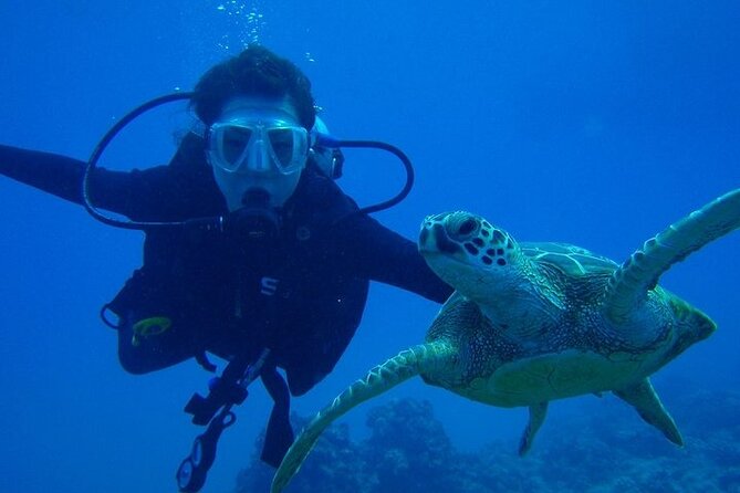 Scuba Referral Dives & Beach Club with Transportation In Riviera Maya - Getting There from Your Hotel: Shared Transport, Real Timings
