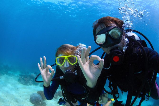 Scuba Referral Dives & Beach Club with Transportation In Riviera Maya - What Happens Over Two Days: Four Open-Water Boat Sessions