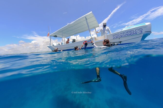 Scuba Referral Dives & Beach Club with Transportation In Riviera Maya - Equipment, Suits, and Safety Rules You Can’t Skip