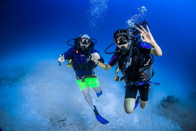 Scuba Referral Dives & Beach Club with Transportation In Riviera Maya - Reef Names, Sea Life, and Why These Sites Matter