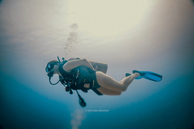 Scuba Referral Dives & Beach Club with Transportation In Riviera Maya - Maroma Beach Club Time: Swim, Reset, and Use the Facilities
