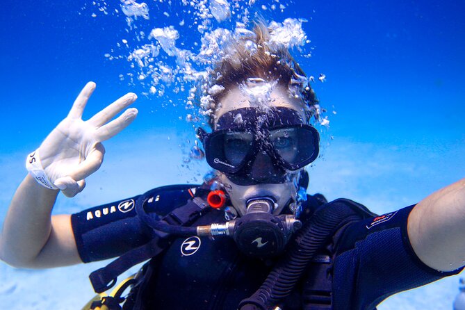 Scuba Referral Dives & Beach Club with Transportation In Riviera Maya - Who This Course Fits Best (and Who Should Rethink It)