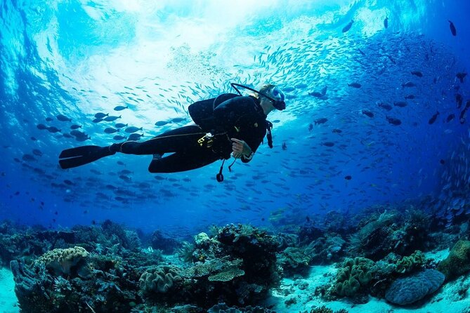 Scuba Referral Dives & Beach Club with Transportation In Riviera Maya - Price and Value: Why $300 Can Be a Good Deal Here