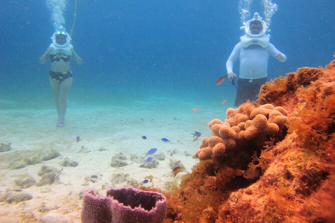 Sea Trek Adventure at Chankanaab National Park - How long you’re really in the water (and why your schedule needs buffer)