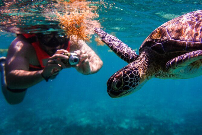 Sea turtle and cenotes half day Snorkeling Tour from Riviera Maya - Chikín Ha cenotes: swimming in pools, then walking underground