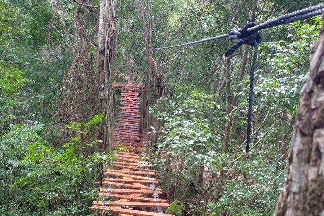 Shared ATV's and Zip Lines and Swimming in a Real Cenote. - What to bring and how to prepare for a wet-and-wild day