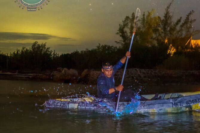 Shared Bioluminescence kayak tour in Holbox - Best moments to look for once you’re on the water
