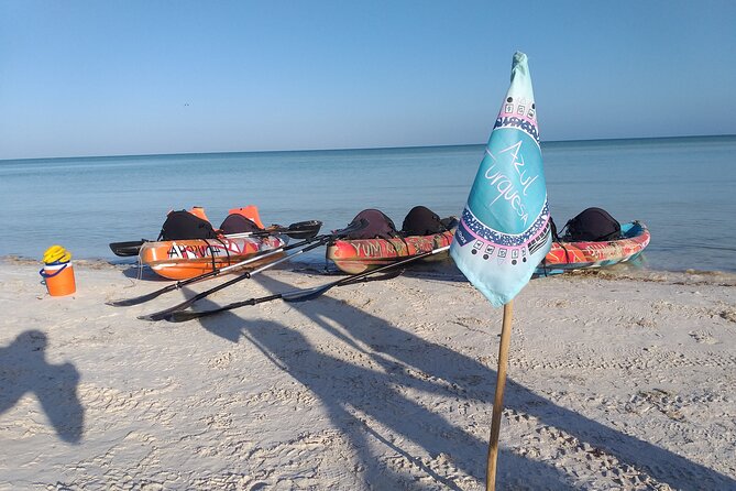 Shared mangroves kayak tour in Holbox - Paddling reality check: fitness level, pace, and comfort