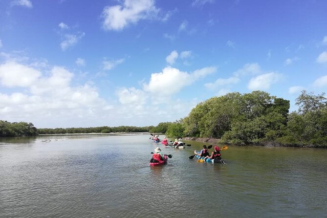 Shared mangroves kayak tour in Holbox - Meeting point and flow: start at Azul Tourquesa Holbox, back again