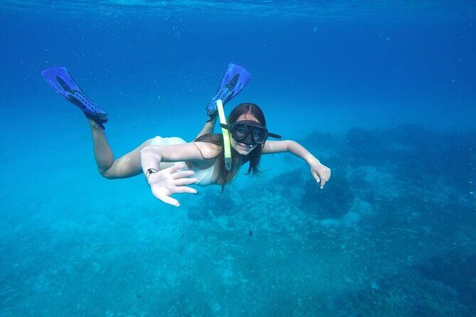 Shared Sky Snorkeling in Cozumel - Sea turtle sanctuary and sea star heaven: planned wildlife time