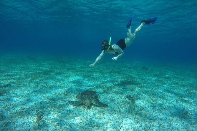 Shared Sky Snorkeling in Cozumel - What’s actually included: snorkel gear and a full snack-and-drink finish