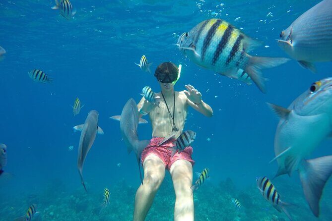 Shared Sky Snorkeling in Cozumel - Should you book this snorkeling tour?