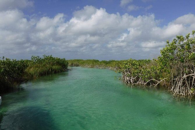 Sian Ka'an Adventure (Private, Full Day) - When the day swaps a cenote for ruins (and why that can be smart)
