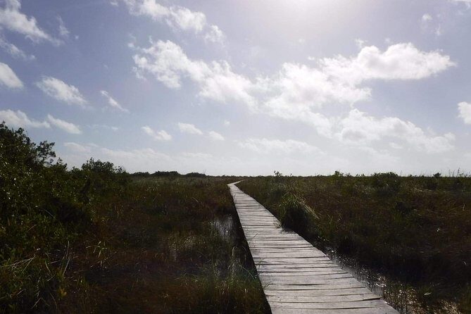 Sian Ka'an Adventure (Private, Full Day) - What to pack for mangroves, canals, and ruins