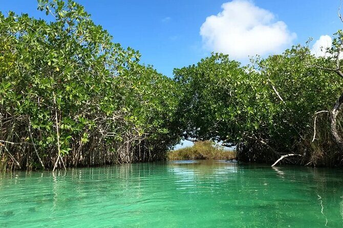 Sian Ka'an Biosphere Reserve Guided Tour - Getting to Sian Ka’an: comfort and a driver who takes it seriously