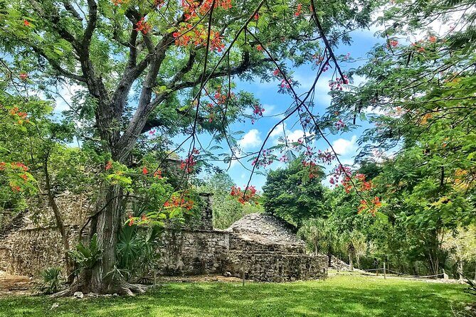 Sian Ka'an Biosphere Reserve Guided Tour - Lunch plus pacing: a 5-hour format that avoids tour fatigue