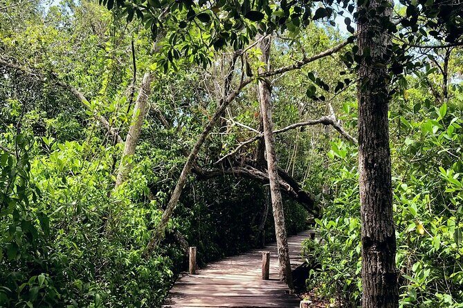 Sian Ka'an Biosphere Reserve Guided Tour - Price and value: is $250 worth it?
