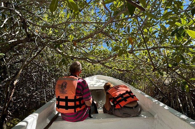 Sian Ka'an Biosphere Reserve Guided Tour - Who should book this Sian Ka’an + Muyil private day?