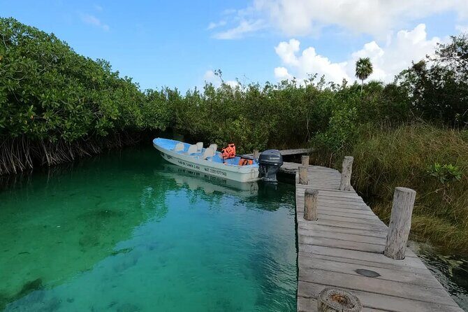 Sian Ka'an Biosphere Reserve Guided Tour - Sian Ka’an lazy rivers: mangroves, water, and wildlife time