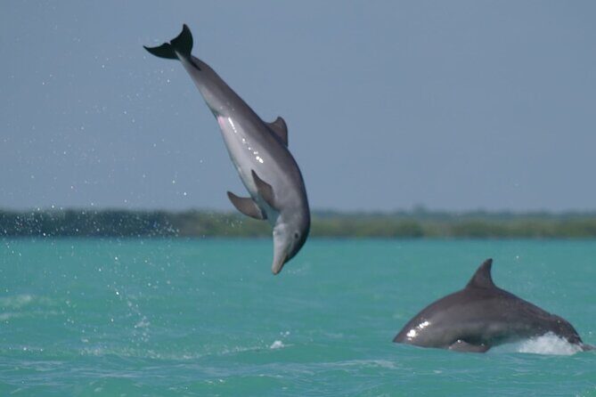 Sian Ka'an Classic - UNESCO-level nature starts early in Playa del Carmen