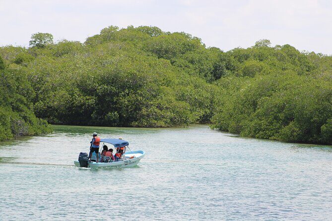 Sian Ka'an Classic - Punta Allen: natural pools, a meal break, and beach huts