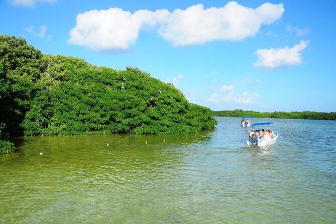 Sian Ka'an Trip from Playa del Carmen & Tulum - Sea turtles and dolphins: what to look for offshore