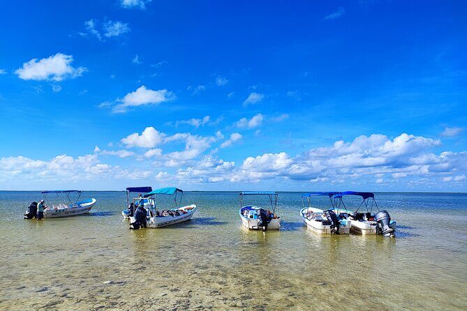 Sian Ka'an Trip from Playa del Carmen & Tulum - Punta Allen: lunch and a short land break