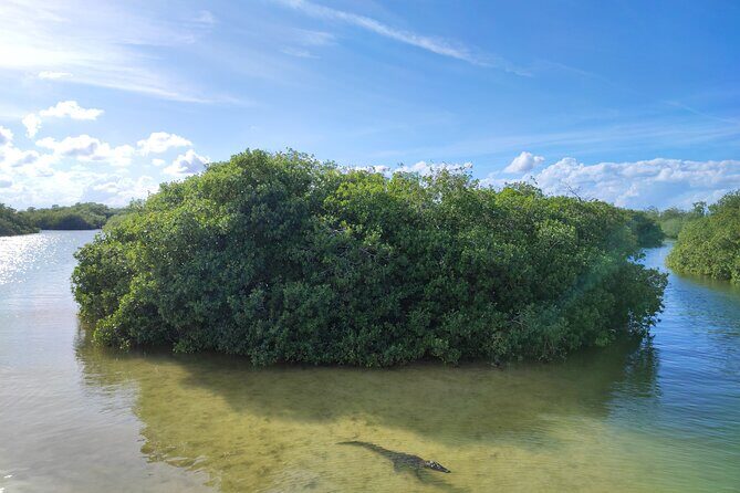 Sian Ka'an Trip from Playa del Carmen & Tulum - Snorkel gear is included, but weather can change the day