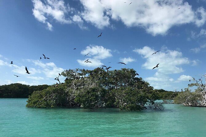 Sian Ka'an Trip from Playa del Carmen & Tulum - Practical tips for a smoother, happier day